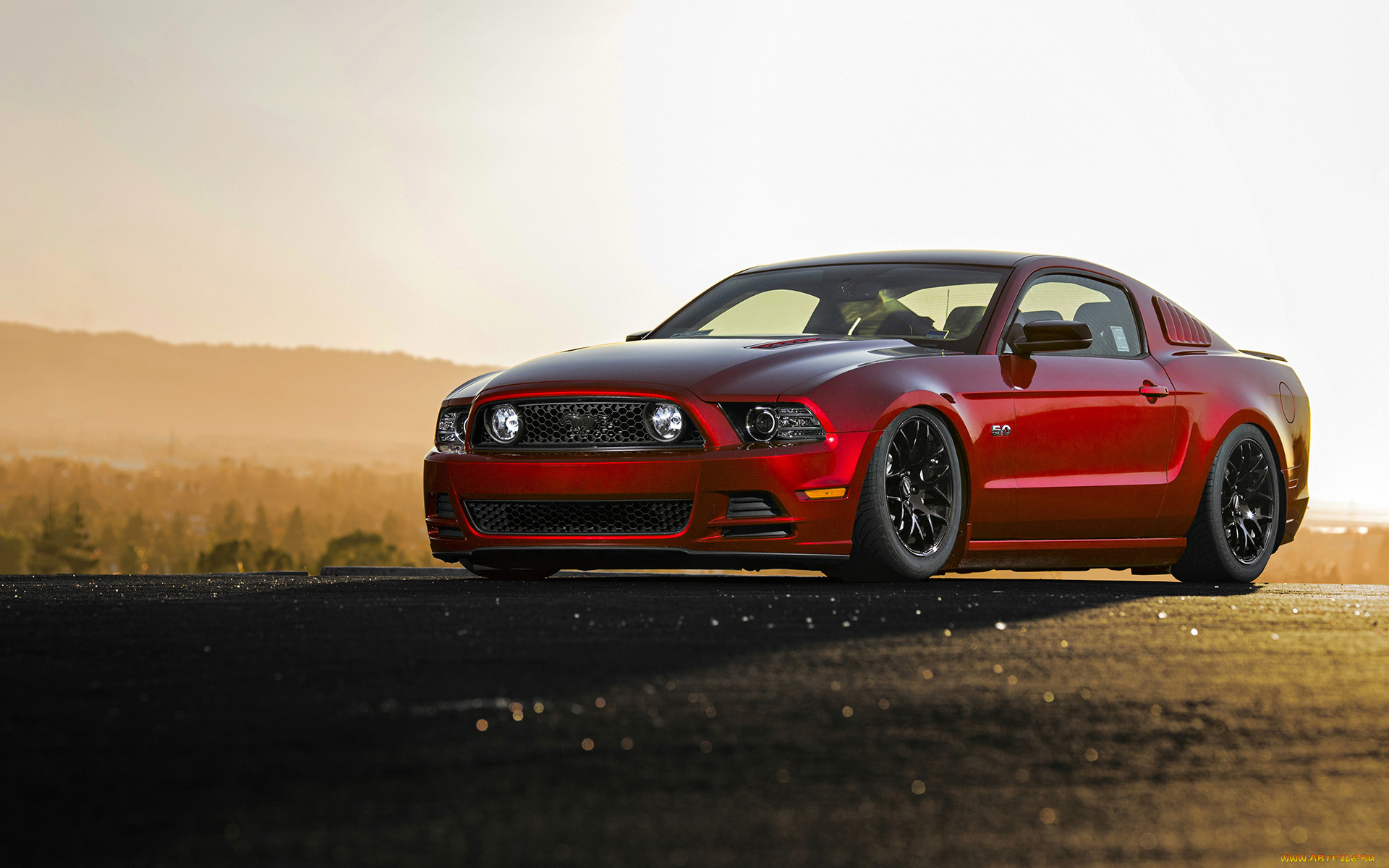 , mustang, ford